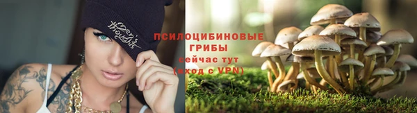 дмт Вязники