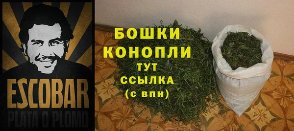 соль ск Гусь-Хрустальный
